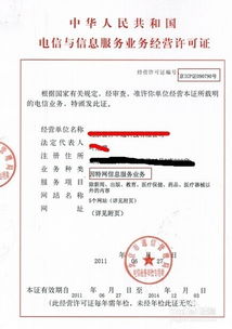 互联网信息服务业务经营许可证的审核要点与信息咨询服务边界解析